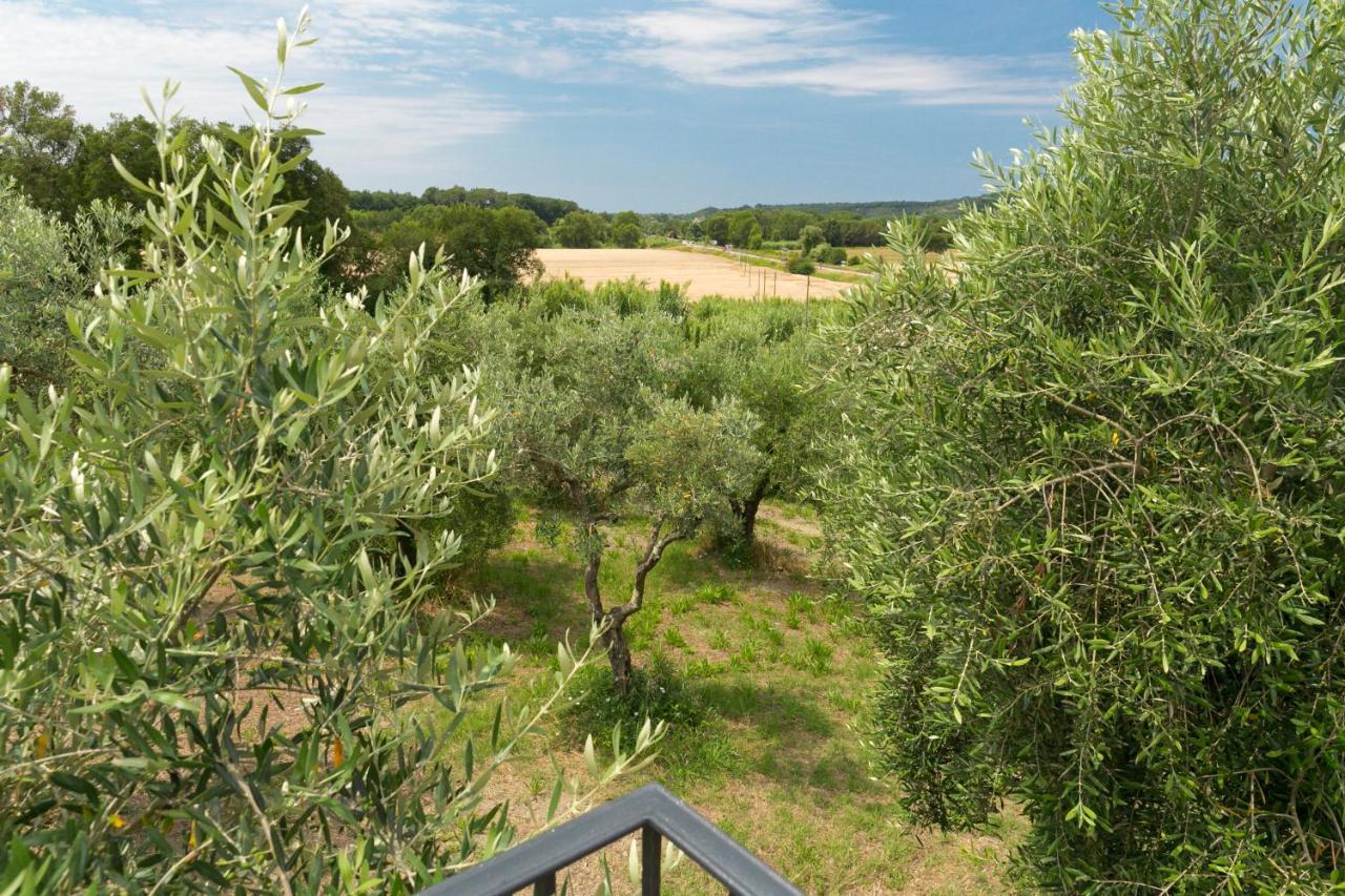 Cottage Zizzolo Riparbella Kültér fotó